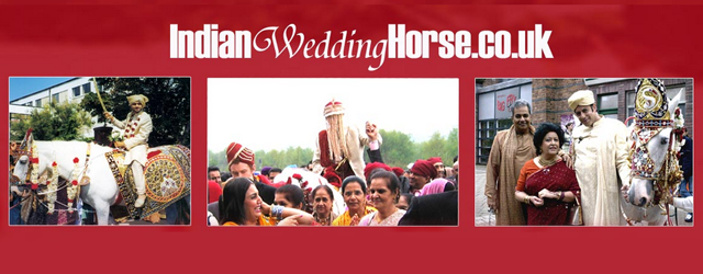 Indian Wedding Horse